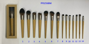 PF0256BM 14-pc makeup brush
